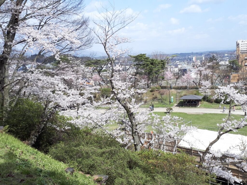 秋田市千秋公園 桜 SANDENSHOJI
